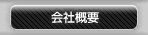 ЊTv